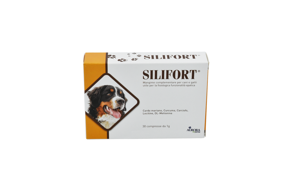SILIFORT 30 COMPRIMIDOS  COADIUVANTE PARA EL HÍG